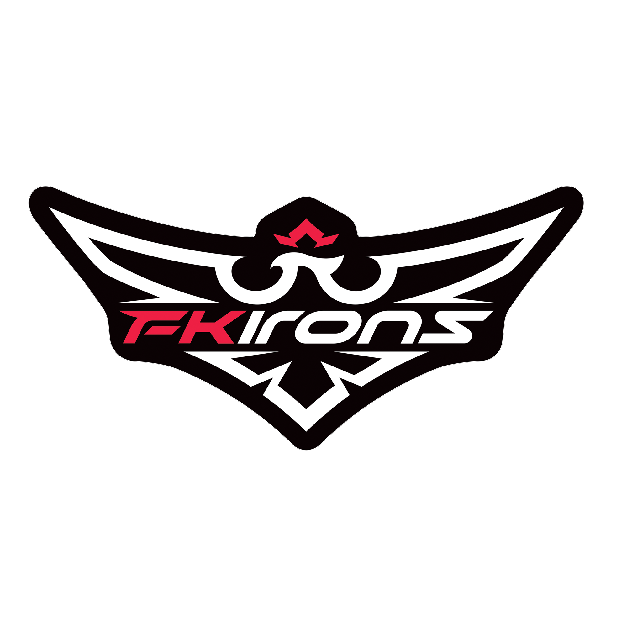 Immagine per fabbricante FK IRONS